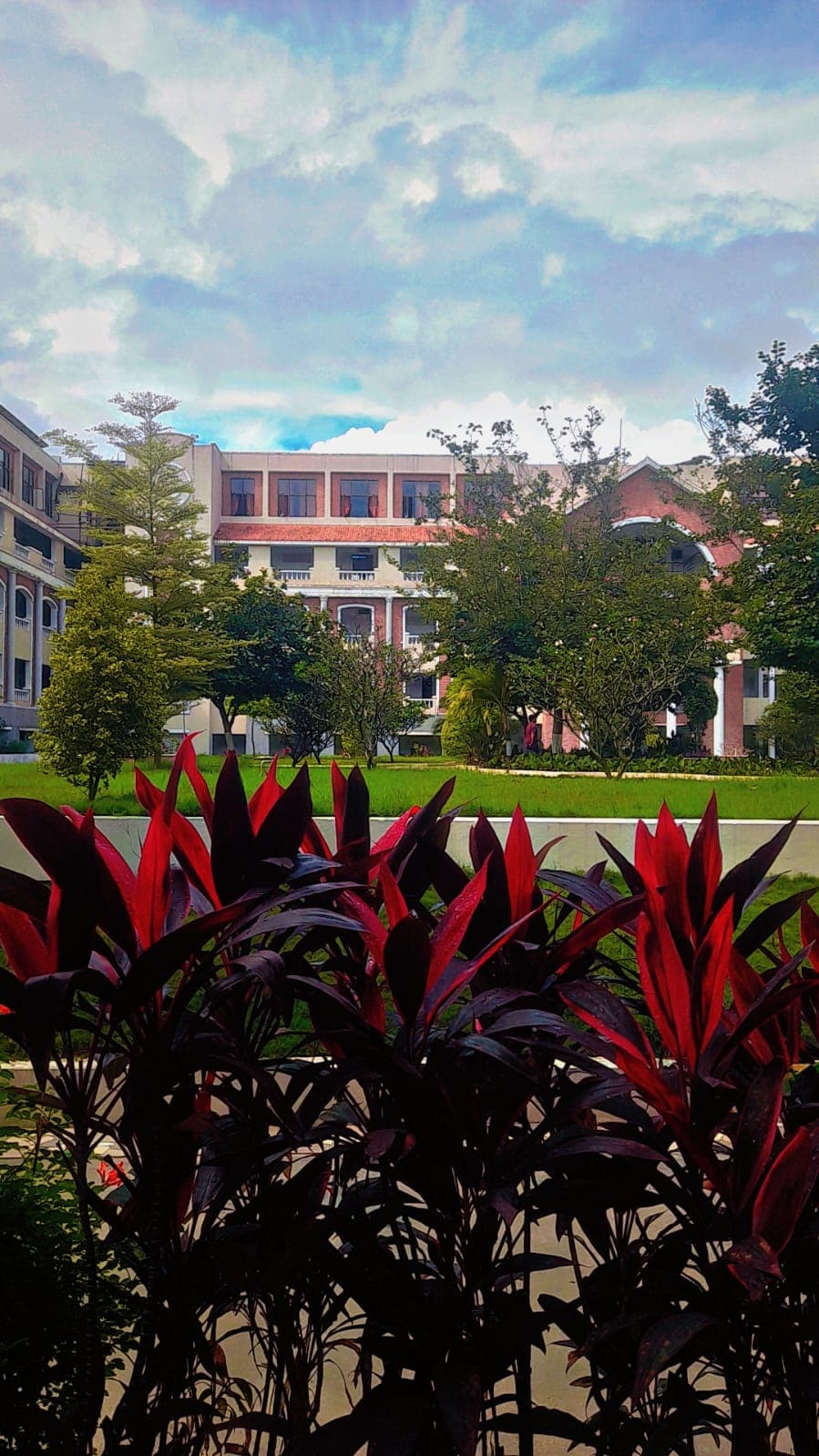 Mohan Babu University Tirupati Campus photo 2